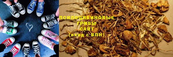 тгк Новый Уренгой
